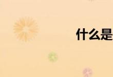 什么是素数（16）