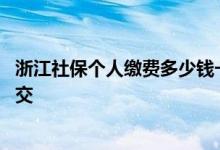 浙江社保个人缴费多少钱一个月 浙江社保个人缴费应该怎么交 