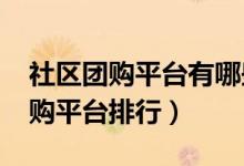 社区团购平台有哪些（2021中国十大社区团购平台排行）