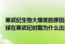 寒武纪生物大爆发的原因是地球升温造成大量化石形成（地球在寒武纪时期为什么出现了生命大爆发）