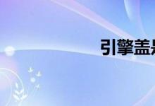 引擎盖是什么意思 