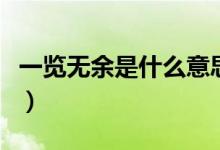 一览无余是什么意思啊（一览无余是什么意思）