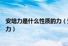 安培力是什么性质的力（安培力也叫什么力安培力也叫什么力）