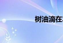  树油滴在车上怎么清洗 