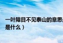 一叶障目不见泰山的意思是什么（一叶障目不见泰山的意思是什么）