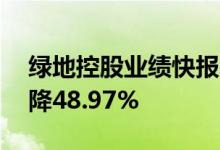 绿地控股业绩快报：上半年净利42亿元同比降48.97%