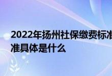 2022年扬州社保缴费标准基数及比例是什么 每个档次的标准具体是什么 