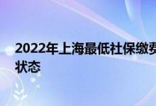 2022年上海最低社保缴费基数 社保缴费后多久能看到缴费状态 