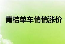 青桔单车悄悄涨价（青桔单车上涨了多少）