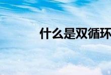 什么是双循环（什么是双循环）