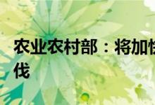 农业农村部：将加快宠物用新兽药生产上市步伐