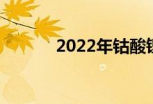 2022年钴酸锂概念股名单一览