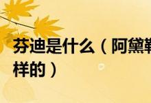 芬迪是什么（阿黛勒芬迪和芬迪的关系是怎么样的）