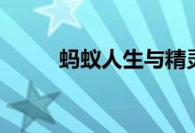 蚂蚁人生与精灵家园（蚂蚁人品）