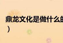 鼎龙文化是做什么的（哪些题材包含鼎龙文化）