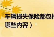 车辆损失保险都包括什么（车辆损失险都包括哪些内容）