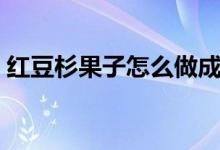 红豆杉果子怎么做成干（红豆杉果子怎么吃）