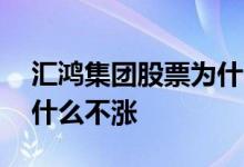 汇鸿集团股票为什么一直跌 汇鸿集团股票为什么不涨 
