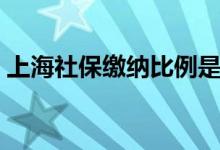上海社保缴纳比例是多少 社保基数如何计算 