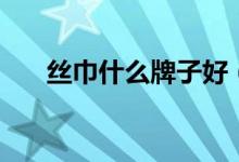 丝巾什么牌子好（丝巾十大品牌排名）