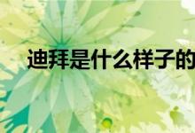 迪拜是什么样子的（迪拜是什么国家的）