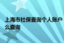 上海市社保查询个人账户 上海社保查询个人账户网上查询怎么查询 