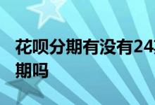 花呗分期有没有24期 花呗账单分期可以分24期吗