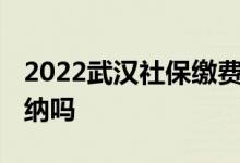 2022武汉社保缴费基数档次 社保可以自己缴纳吗 