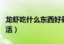 龙虾吃什么东西好养活（龙虾吃什么东西才能活）