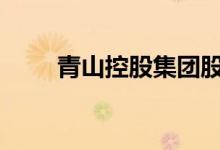 青山控股集团股票代码是什么2022