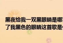 黑夜给我一双黑眼睛是哪首歌歌词（第一句歌词是：黑夜给了我黑色的眼睛这首歌是什么歌名）