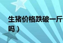 生猪价格跌破一斤10元（后期还会继续下跌吗）