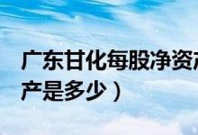 广东甘化每股净资产（广东甘化000576净资产是多少）