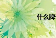  什么牌子卷发梳好 