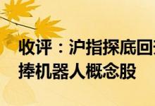 收评：沪指探底回升缩量涨0.8%资金午后追捧机器人概念股