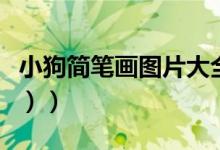 小狗简笔画图片大全简单（小狗简笔画（图文））