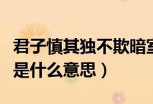 君子慎其独不欺暗室（君子慎独不欺暗室具体是什么意思）