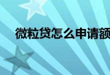 微粒贷怎么申请额度（微粒贷怎么申请）