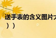 送手表的含义图片大全（送手表的含义（图文））