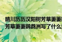 晴川历历汉阳树芳草萋萋鹦鹉洲景物描写（晴川历历汉阳树芳草萋萋鹦鹉洲写了什么地方的景物）