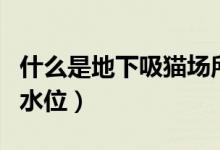 什么是地下吸猫场所屡禁不止（什么是地下常水位）