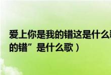 爱上你是我的错这是什么歌（有一句歌词是“我爱上你是我的错”是什么歌）