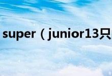 super（junior13只的全名 和爱称是什么啊）