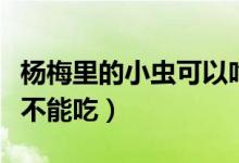 杨梅里的小虫可以吃吗（杨梅里跑出小虫子能不能吃）