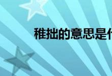 稚拙的意思是什么（稚拙的意思）