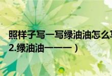 照样子写一写绿油油怎么写（照样子写词语:1.渐渐一一一一2.绿油油一一一）