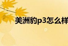 美洲豹p3怎么样（美洲豹P3怎么样）