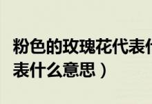 粉色的玫瑰花代表什么花语（粉色的玫瑰花代表什么意思）