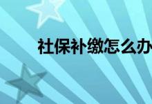 社保补缴怎么办理 滞纳金如何计算 