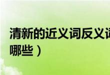 清新的近义词反义词是什么（清新的近义词有哪些）